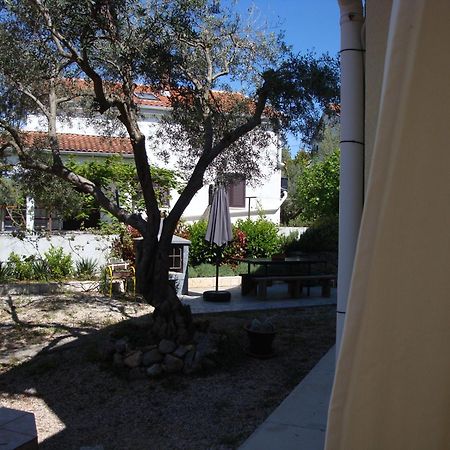 Apartments Olea Pinezici  Bagian luar foto