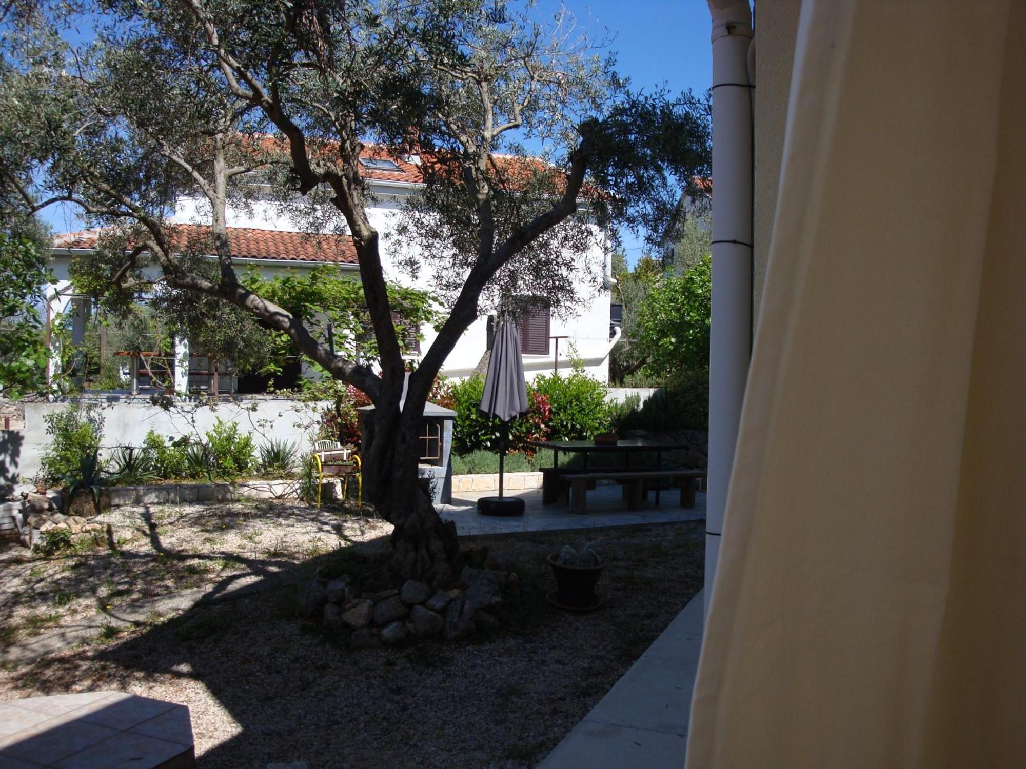 Apartments Olea Pinezici  Bagian luar foto